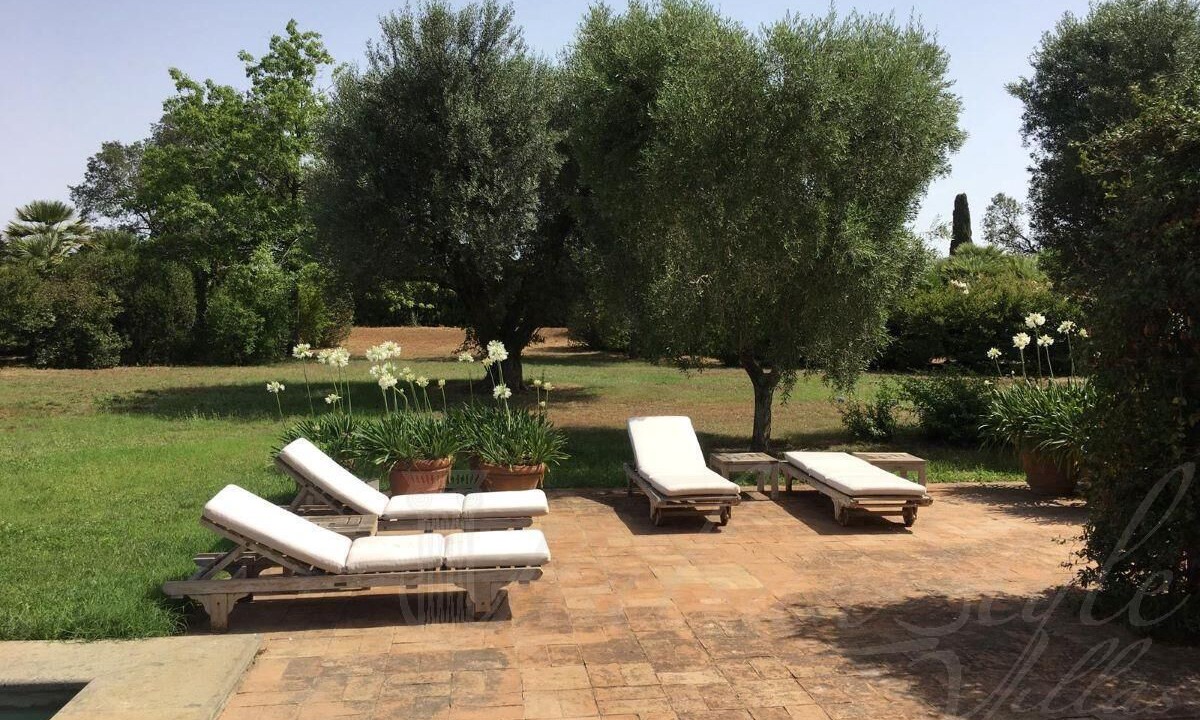 Photo of Outdoor in Tarquinia