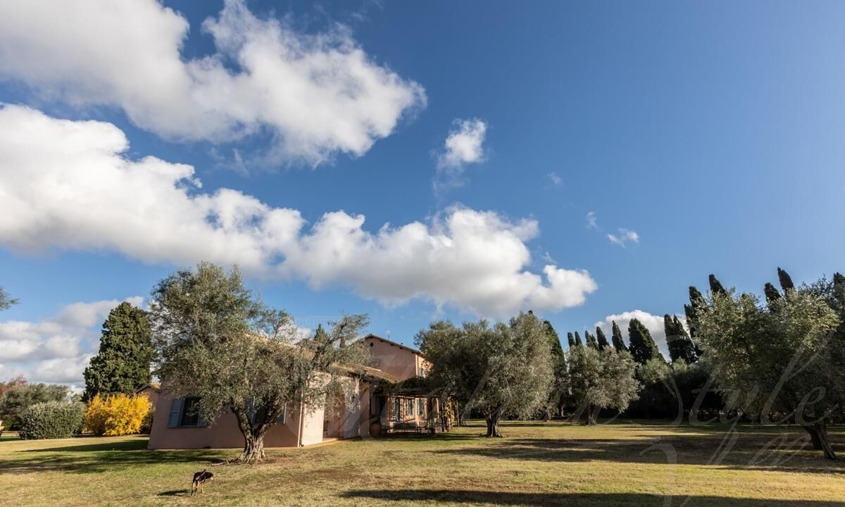 Photo of Outdoor in Tarquinia