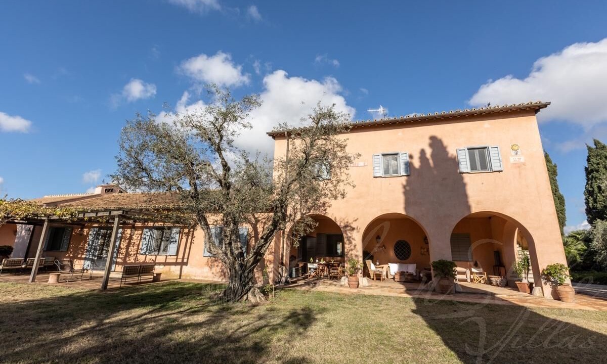 Photo of Outdoor in Tarquinia