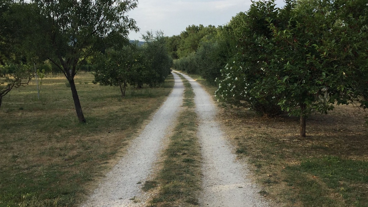 Photo of Outdoor in Orte