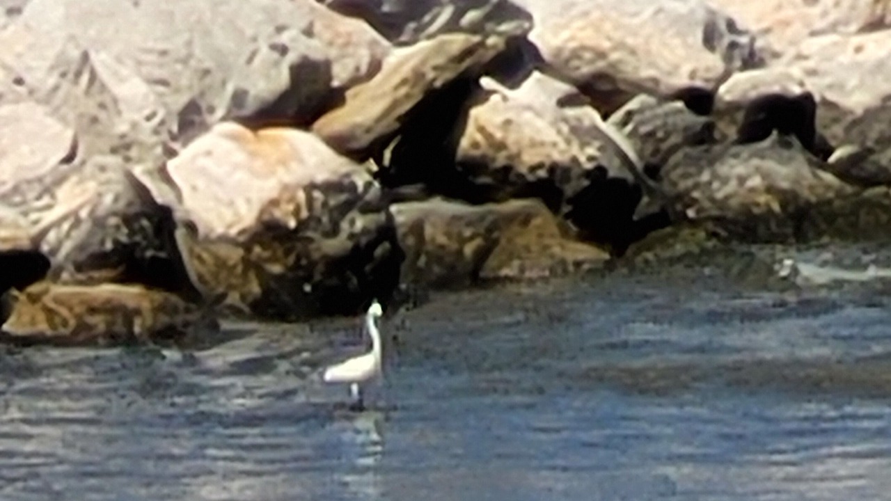 Photo of Others in Ofena