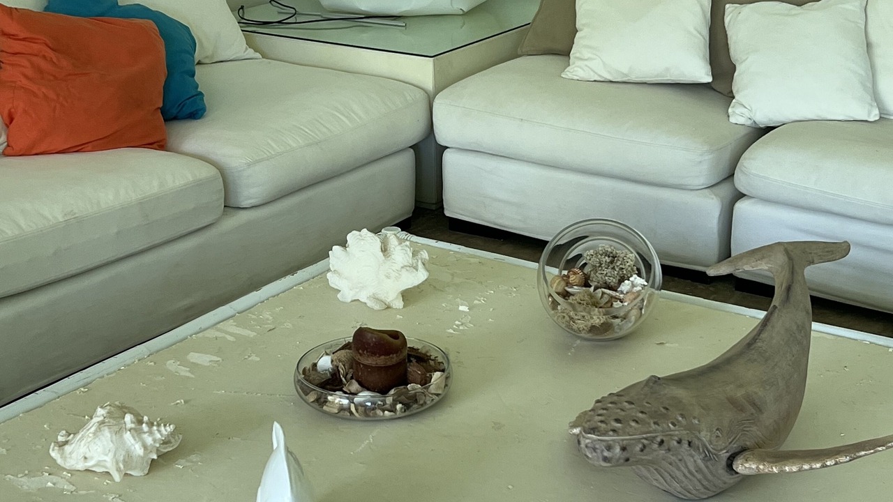 Photo of Livingroom in Fregenae
