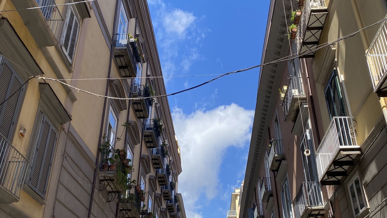Photo of Outdoor in San Ferdinando