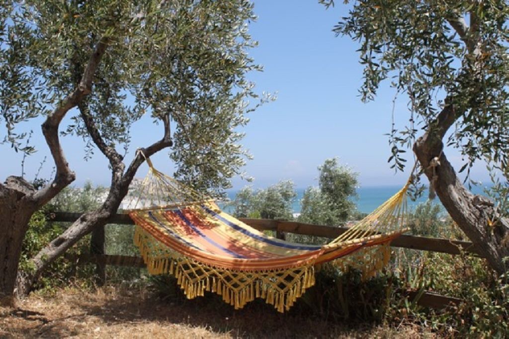 Photo of Outdoor in Scialara