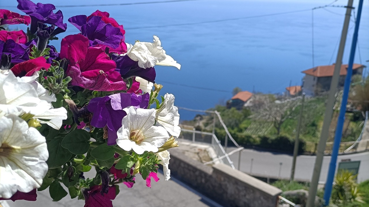 Photo of Outdoor in Agerola