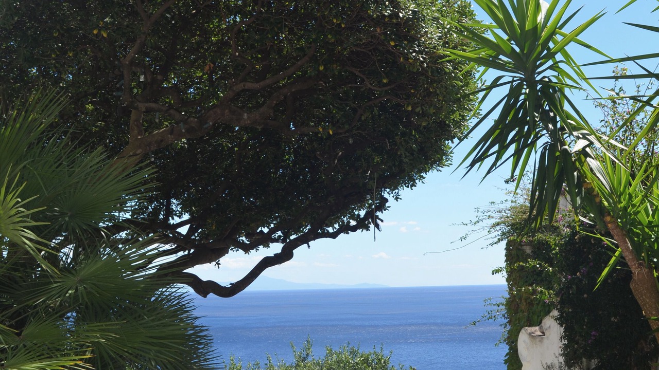 Photo of Patio Balcony in Positano