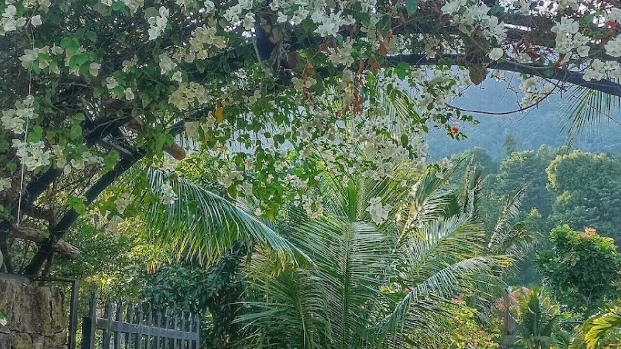 Photo of Outdoor in Ham Ninh