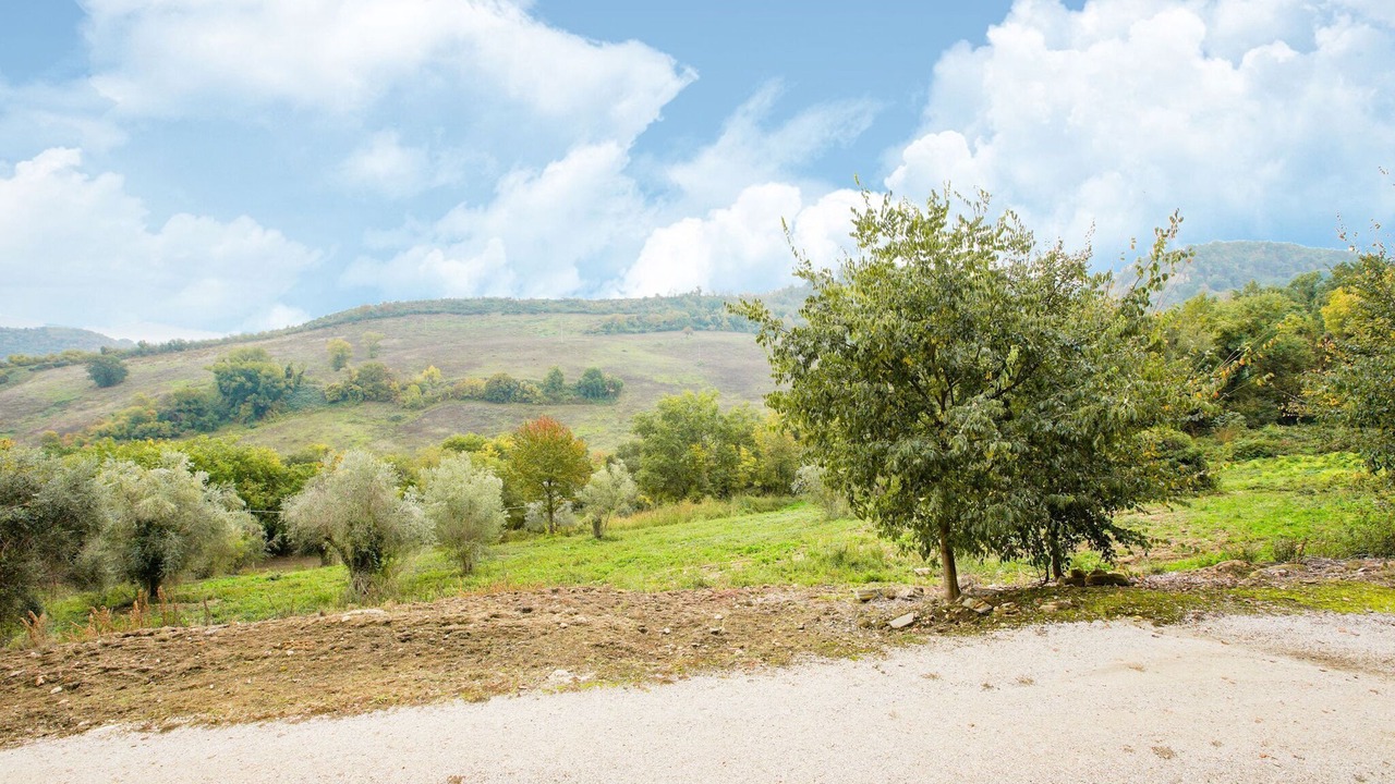 Photo of Others in Castiglione in Teverina