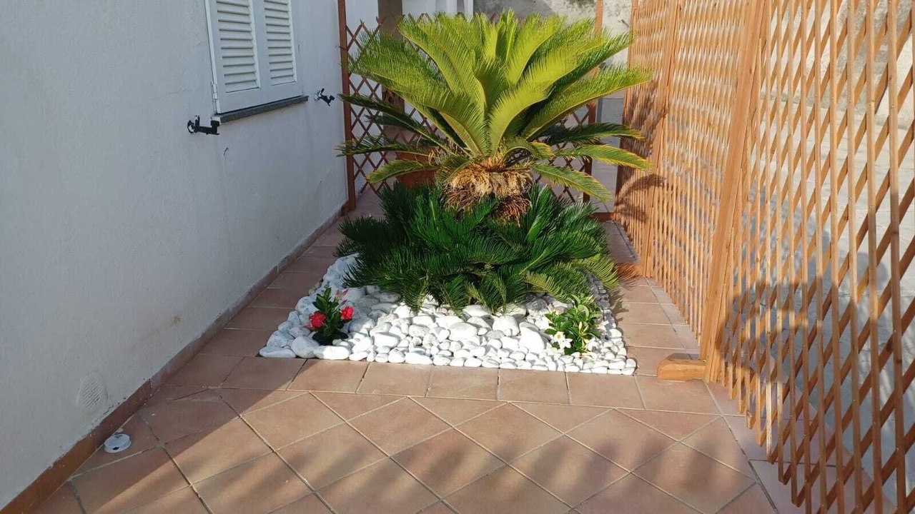 Photo of Outdoor in Forio