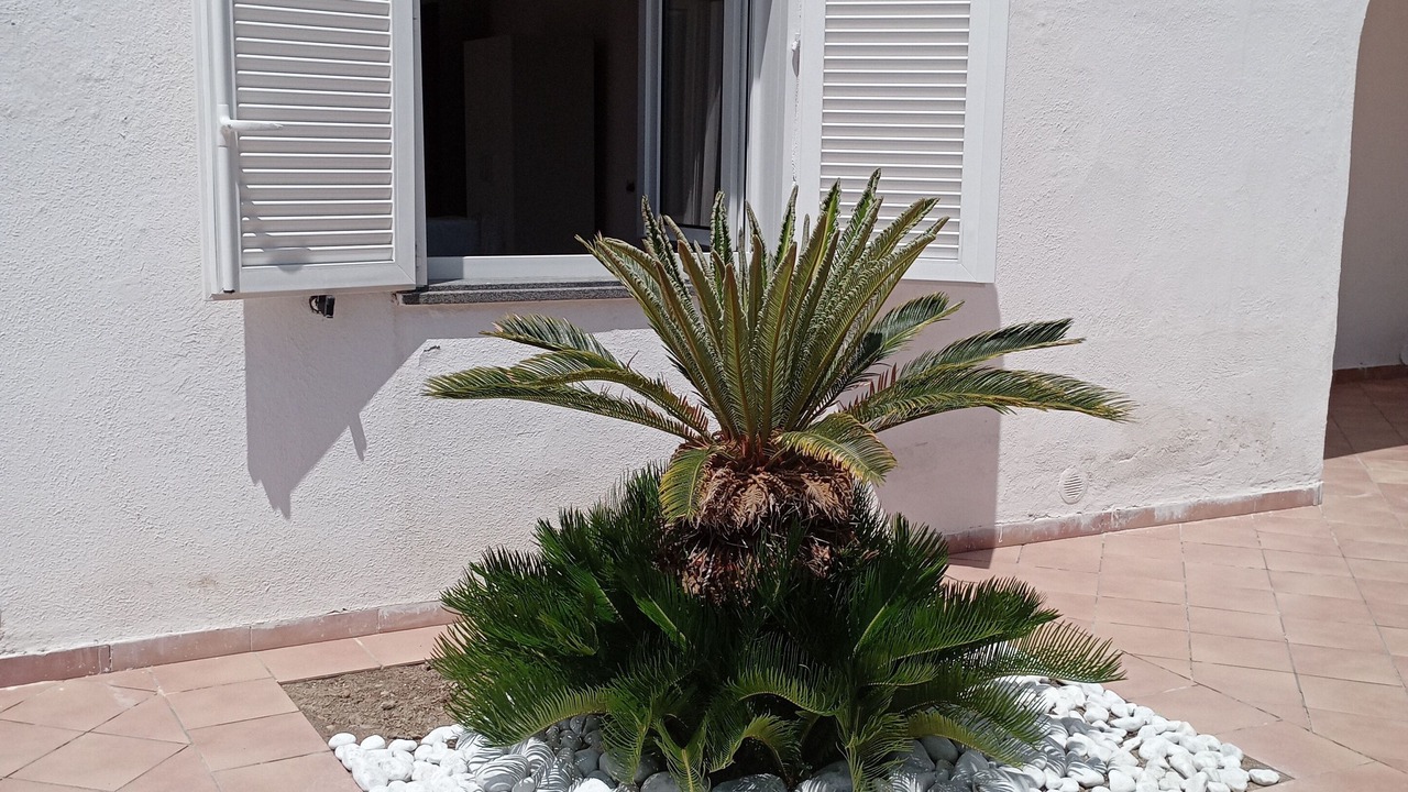 Photo of Outdoor in Forio