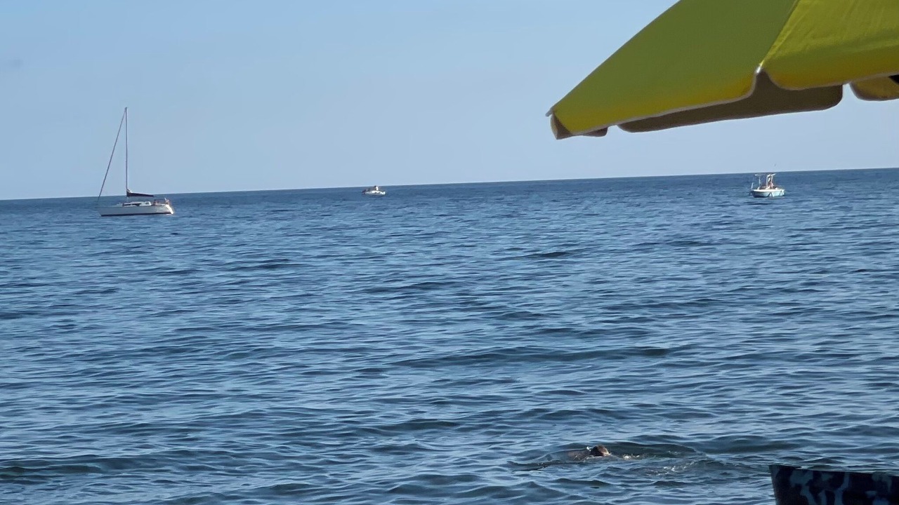 Photo of Others in Santa Marinella
