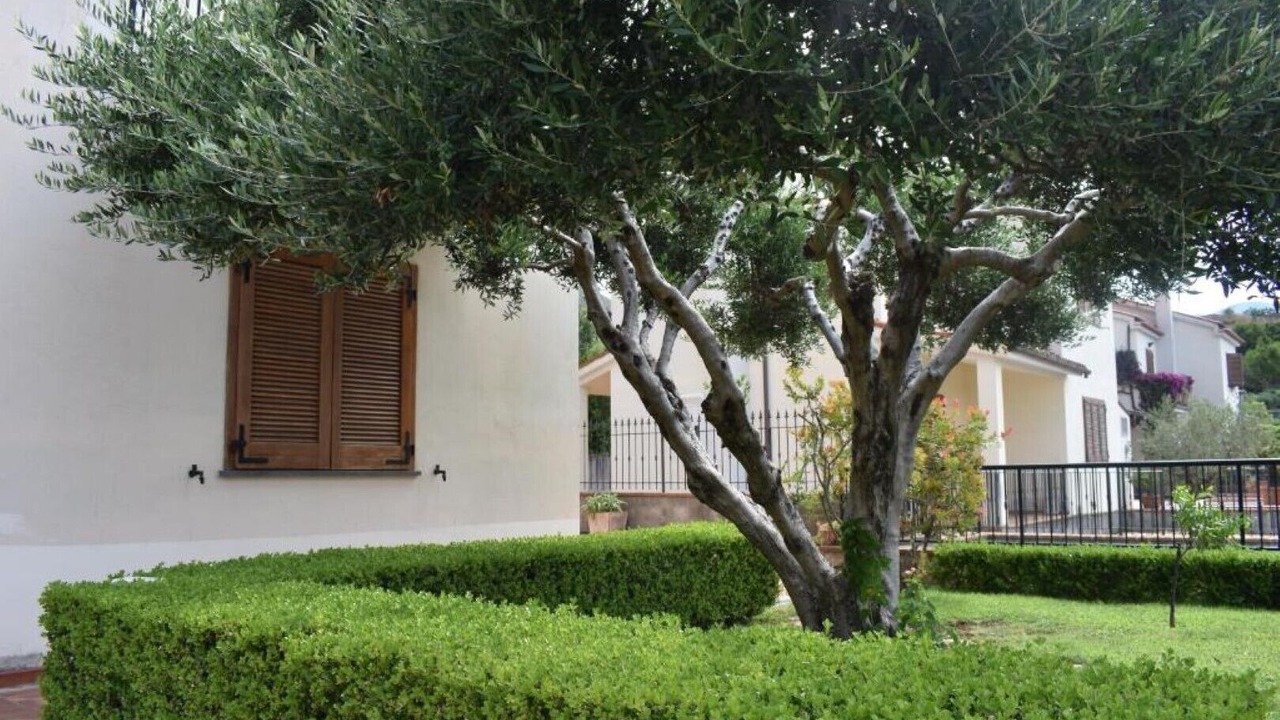 Photo of Outdoor in Marina di Maratea