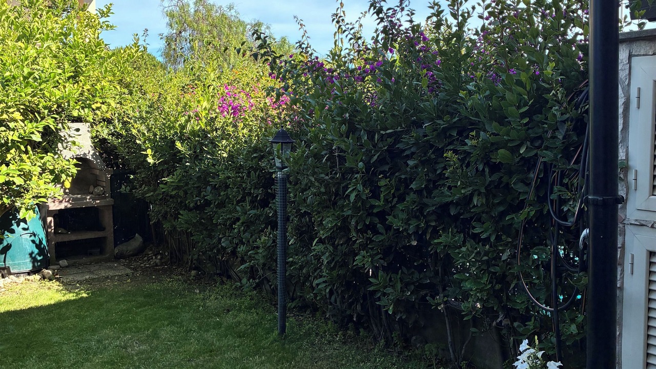 Photo of Outdoor in Santa Marinella