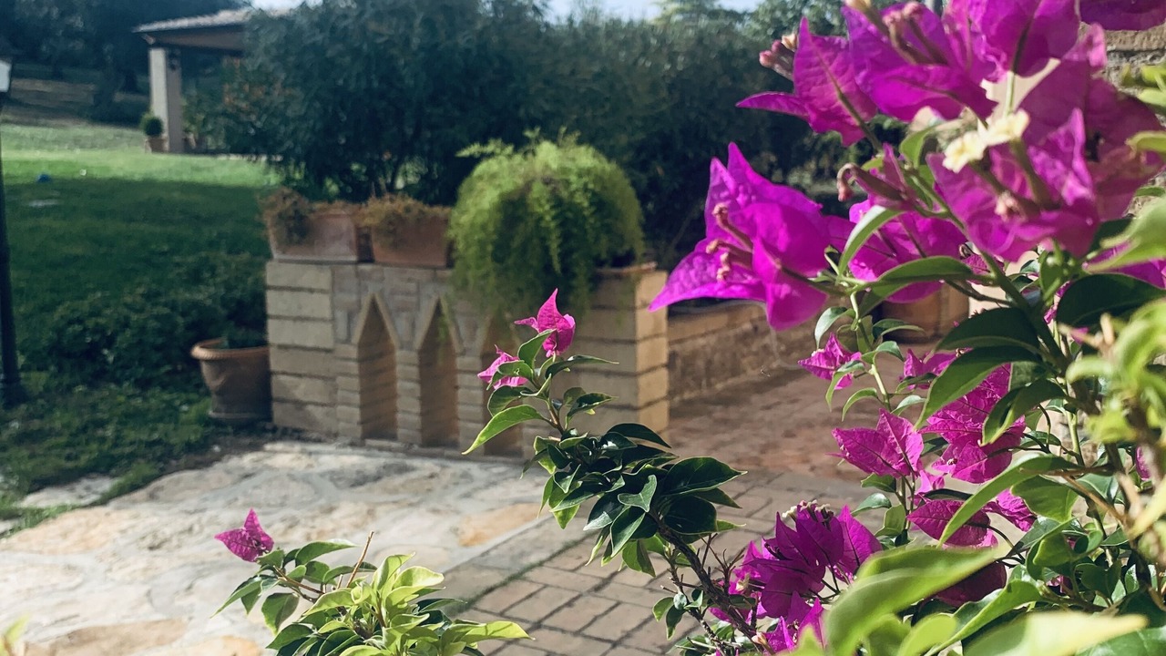 Photo of Outdoor in Larino