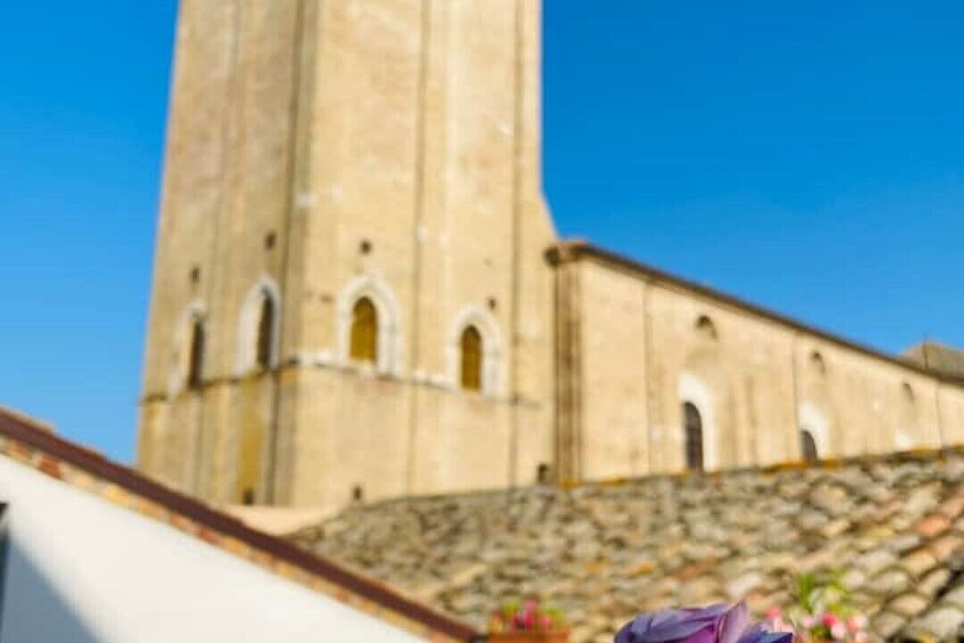 Photo of Others in Vasto