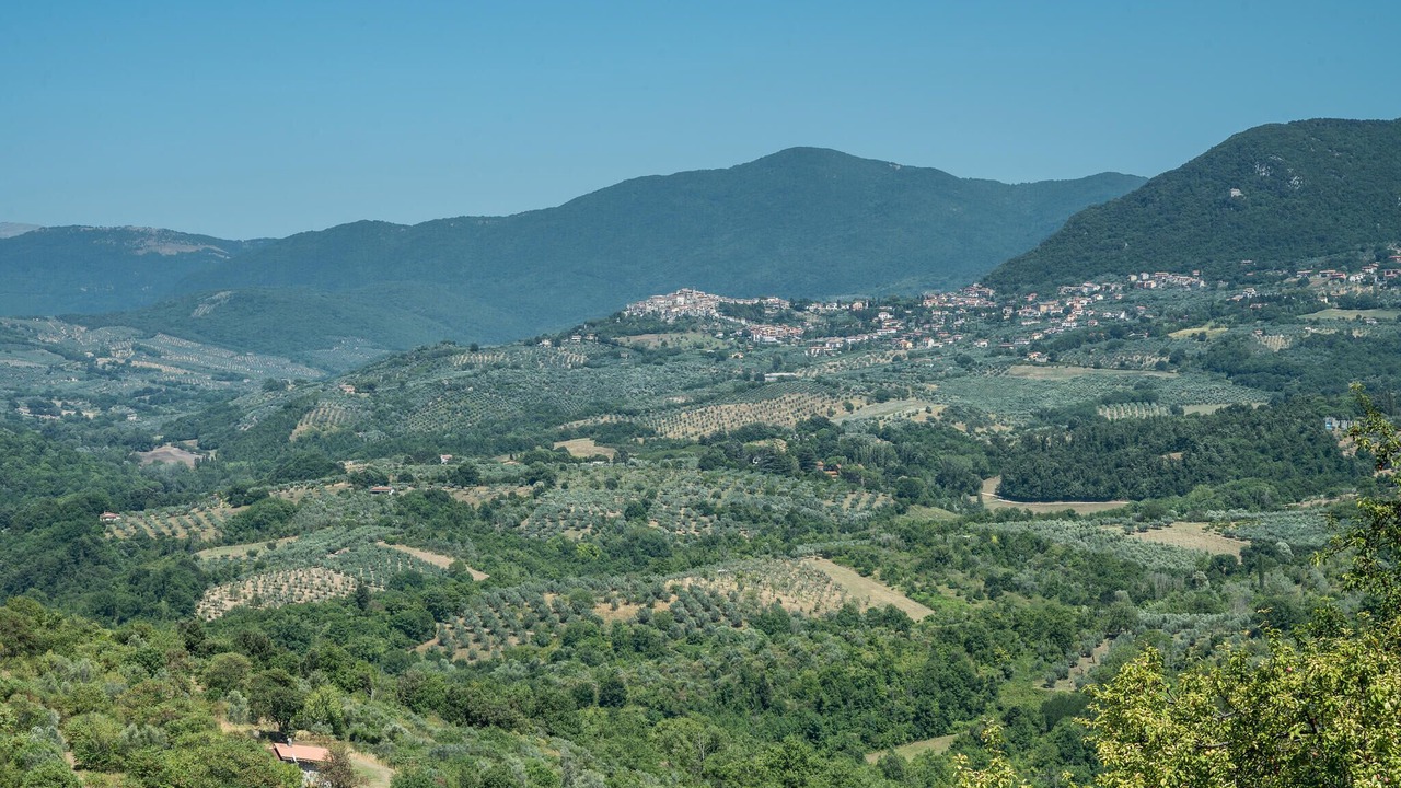 Photo of Others in Nerola