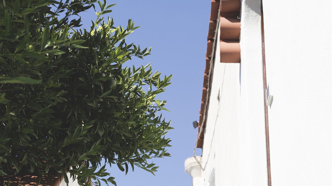 Photo of Outdoor in Forio