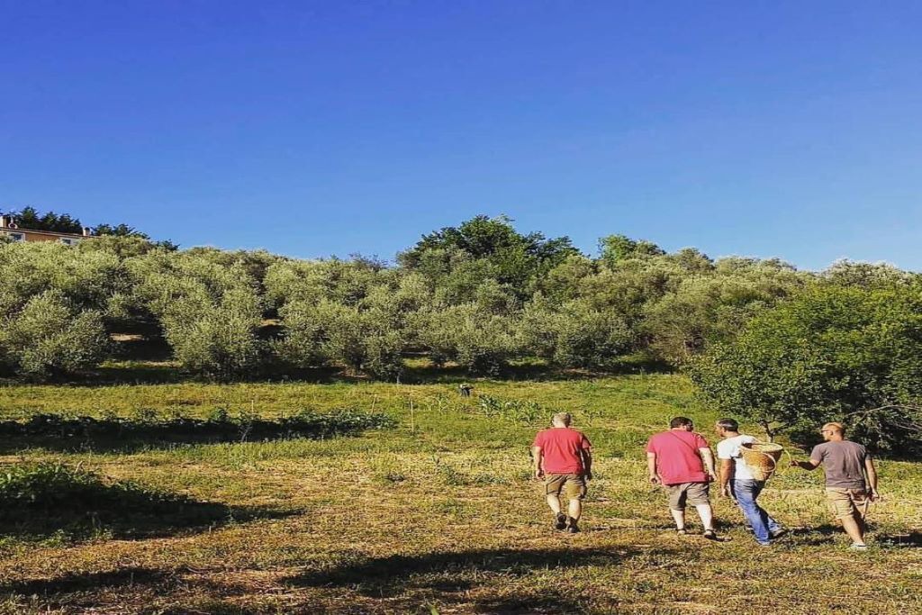 Photo of Others in Moscufo