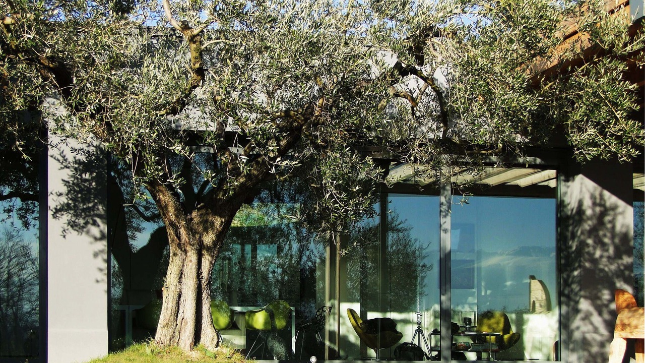 Photo of Patio Balcony in Spoltore