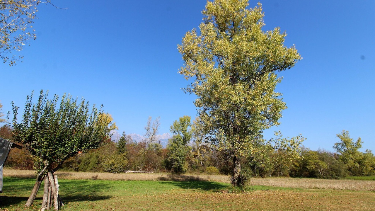 Photo of Outdoor in Mel