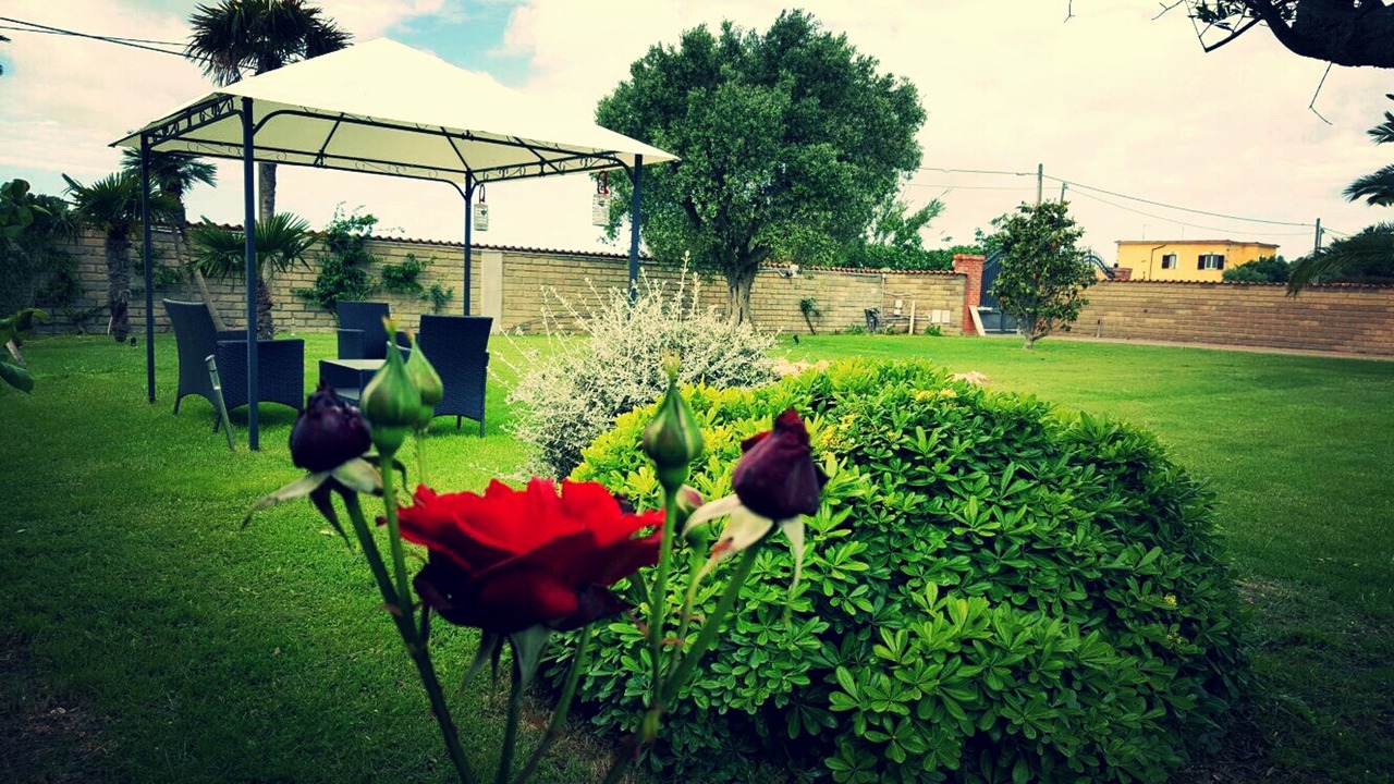 Photo of Outdoor in Ladispoli