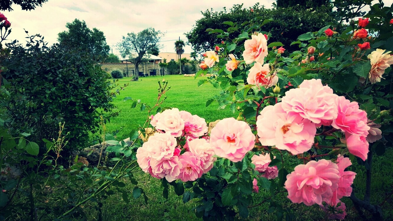 Photo of Outdoor in Ladispoli