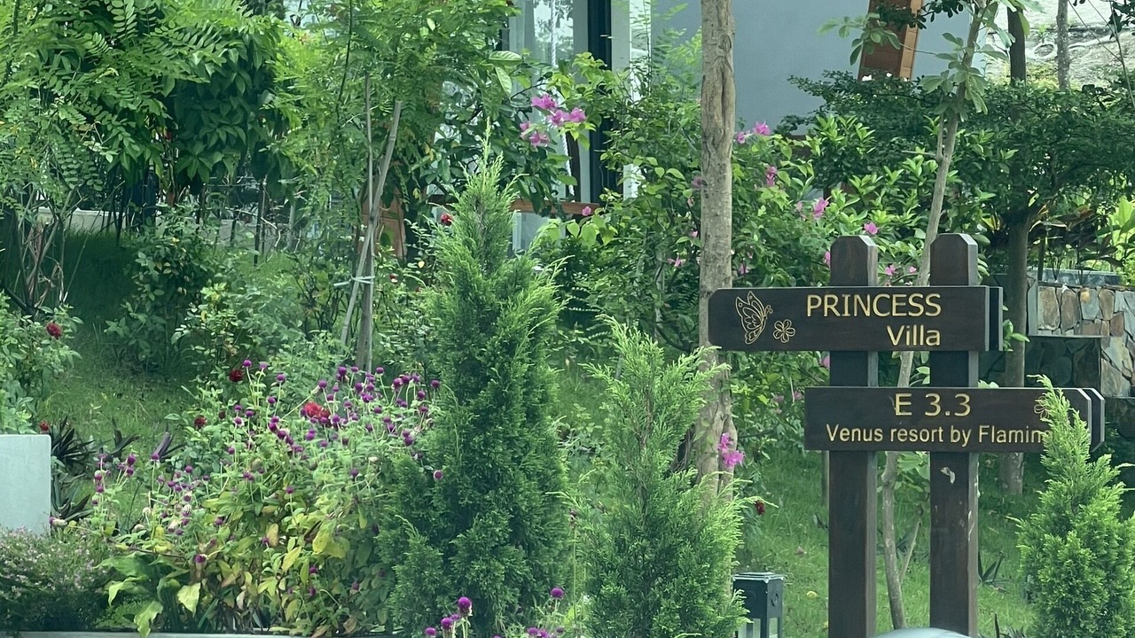 Photo of Outdoor in Binh Xuyen
