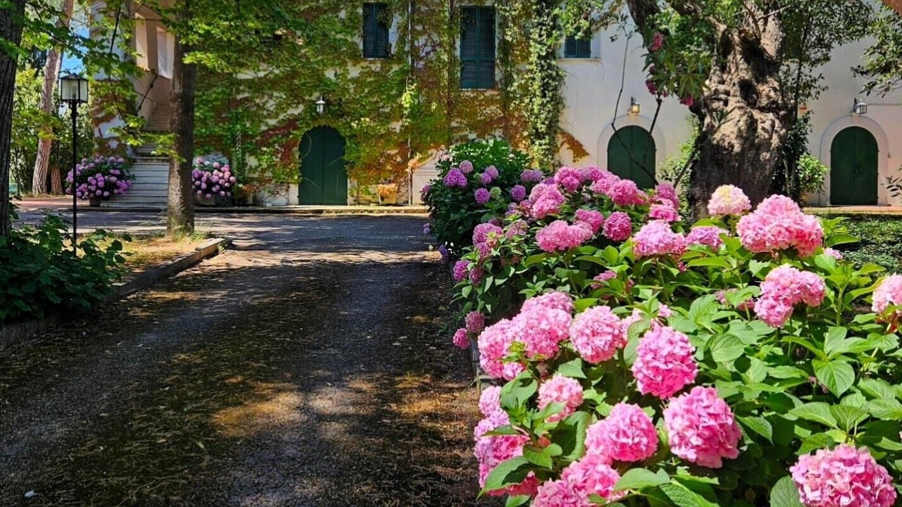 Photo of Outdoor in Vasto