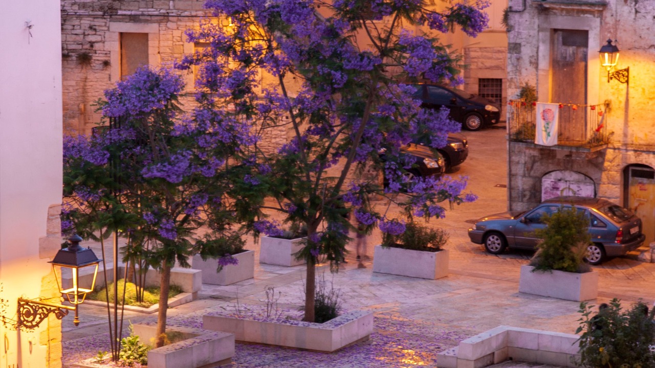 Photo of Outdoor in Corato