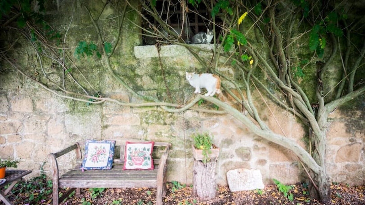 Photo of Outdoor in Farnese