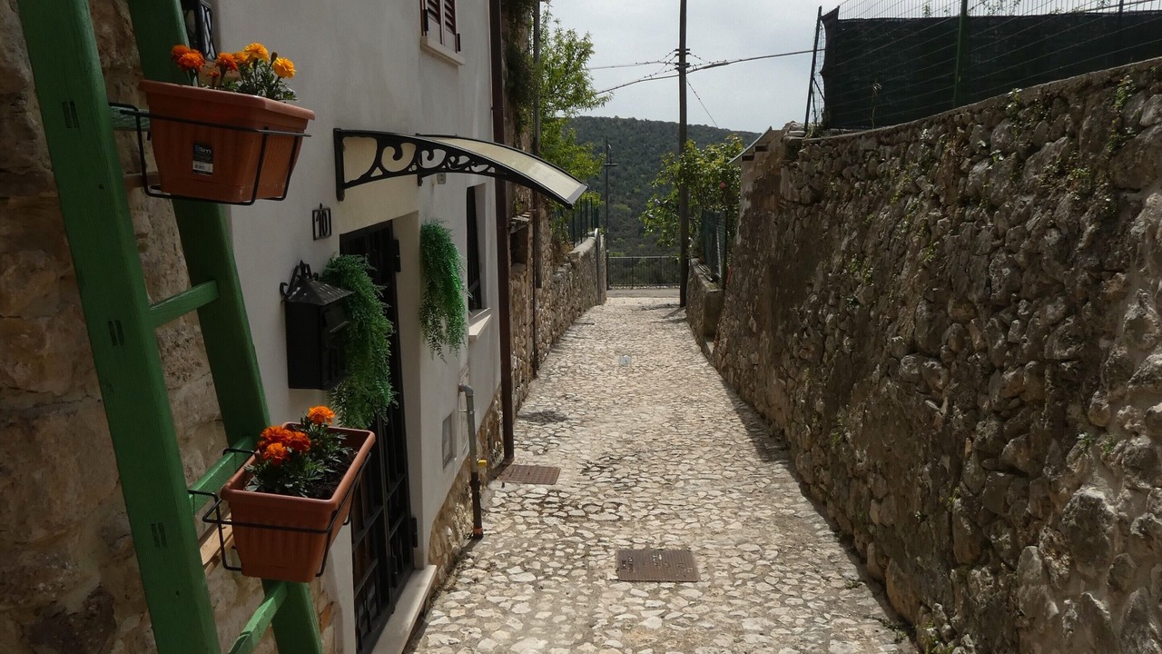 Photo of Outdoor in Amelia