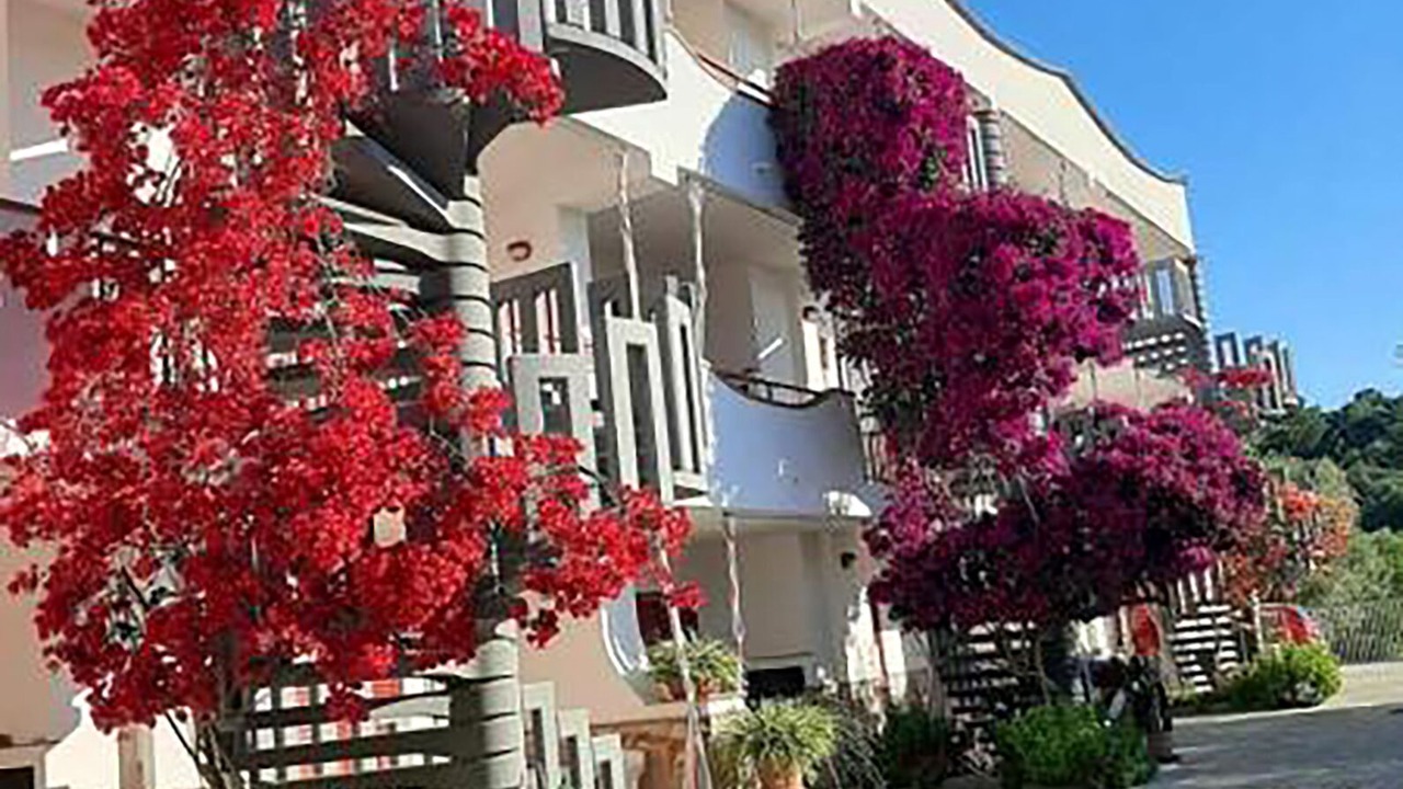 Photo of Outdoor in Mandrione