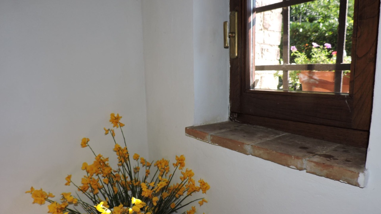 Photo of Others in Celle sul Rigo