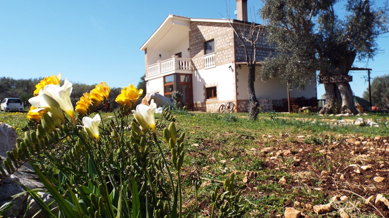Photo of Outdoor in San Nicandro Garganico