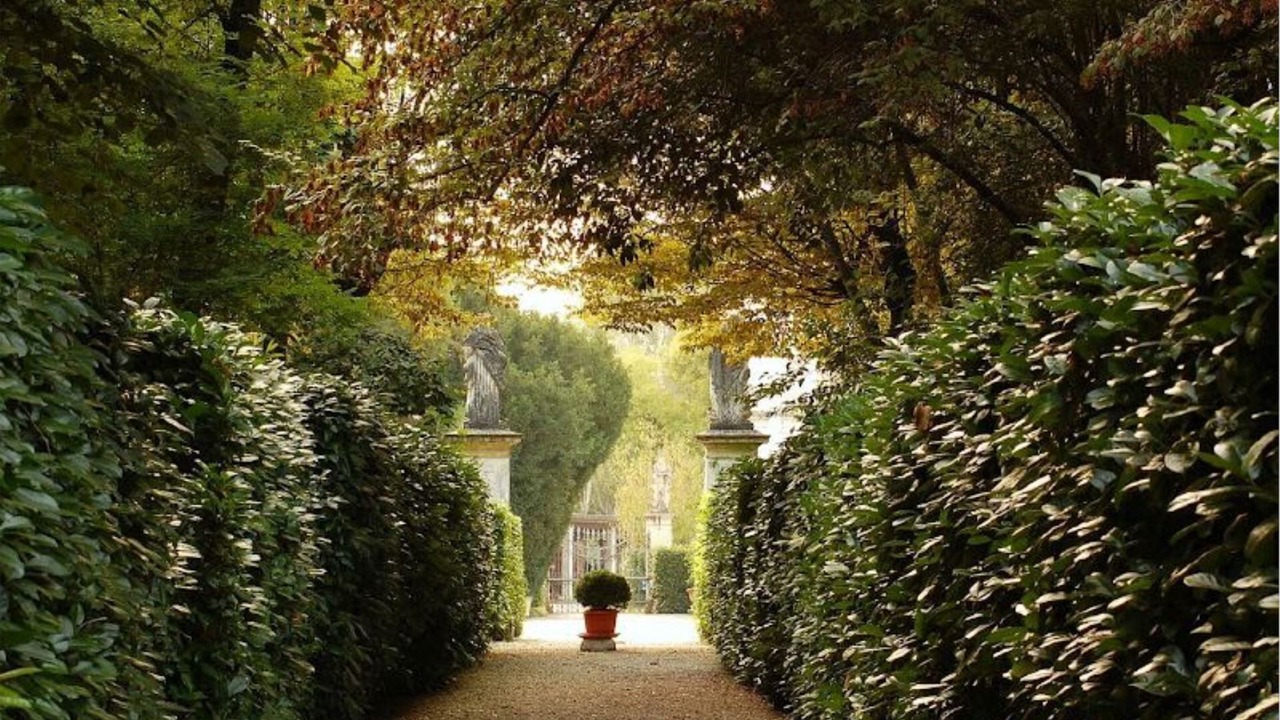 Photo of Outdoor in Levada
