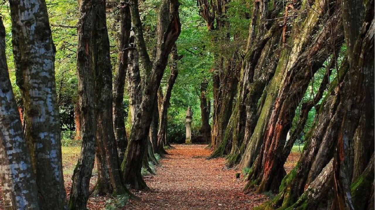 Photo of Outdoor in Levada