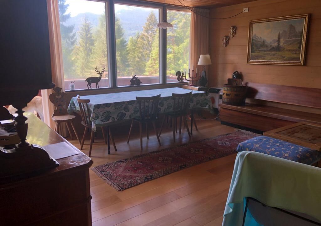 Photo of Others in Borca di Cadore