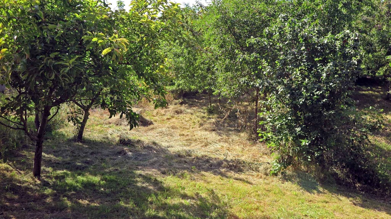 Photo of Outdoor in Saliste