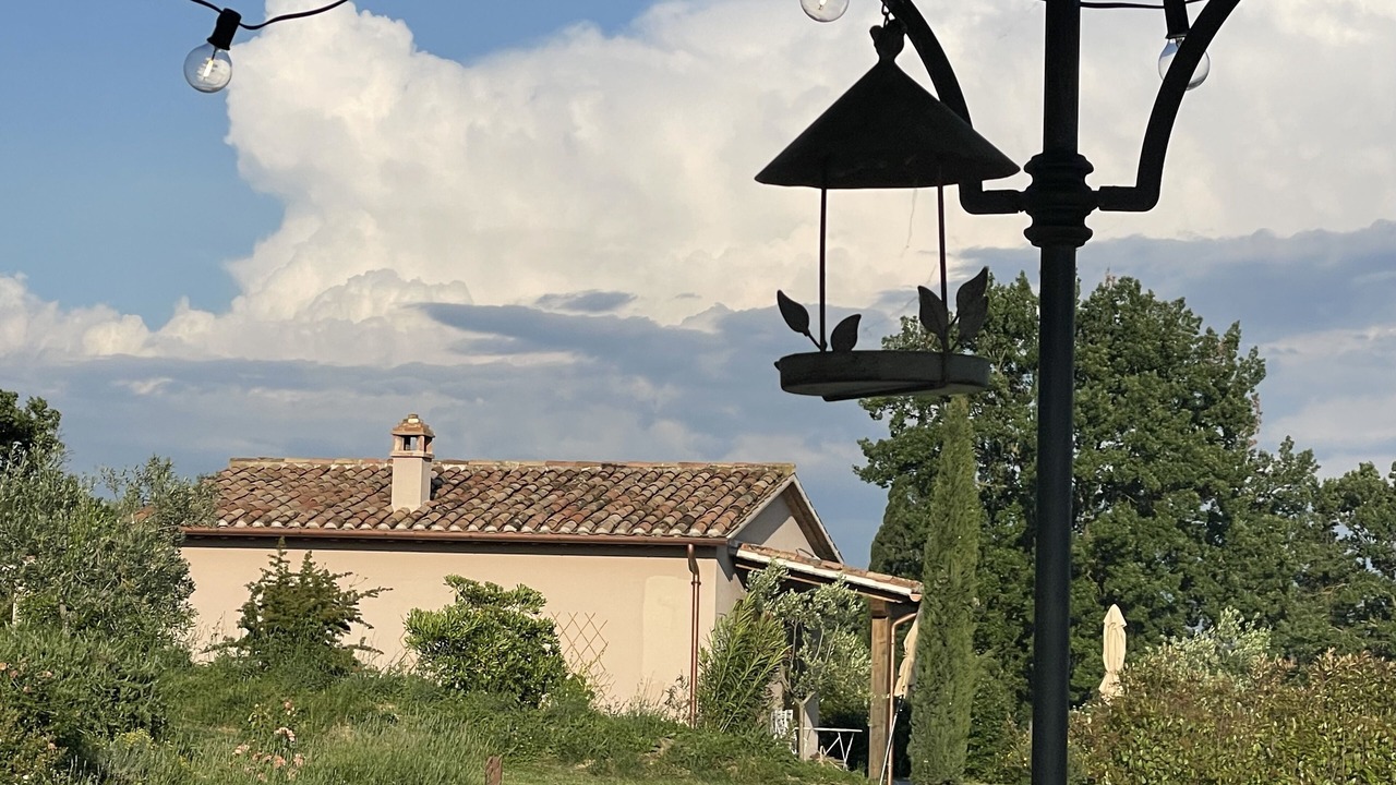 Photo of Outdoor in Montoro