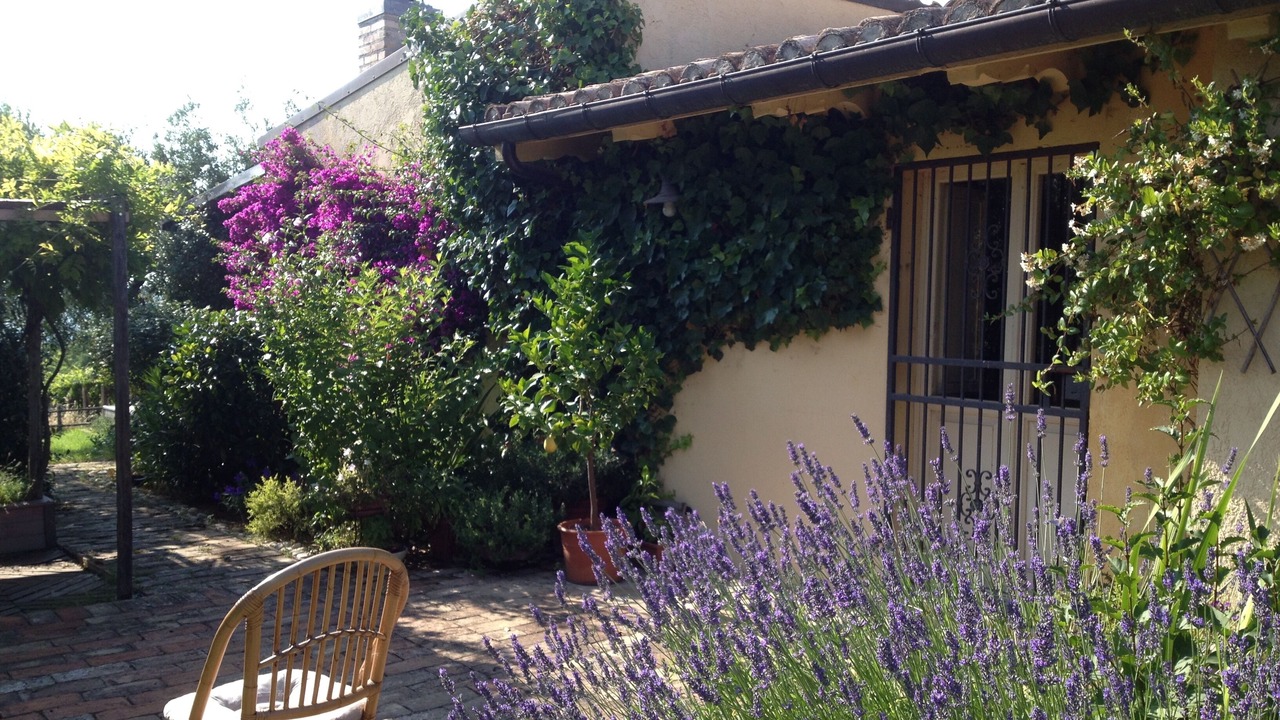 Photo of Patio Balcony in Tollo