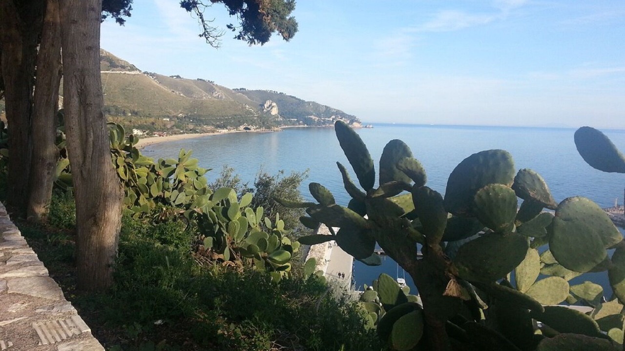 Photo of Others in Formia