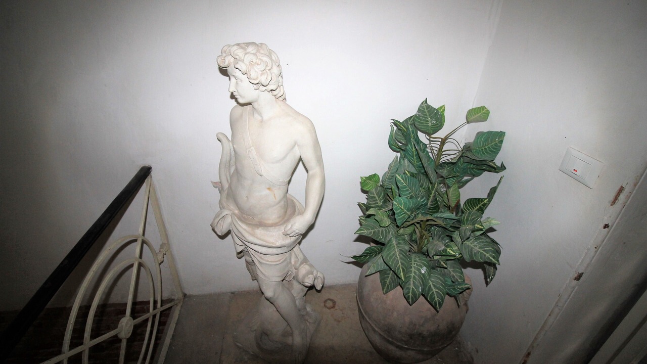 Photo of Others in San Marco
