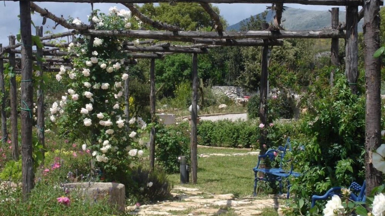 Photo of Outdoor in Itri