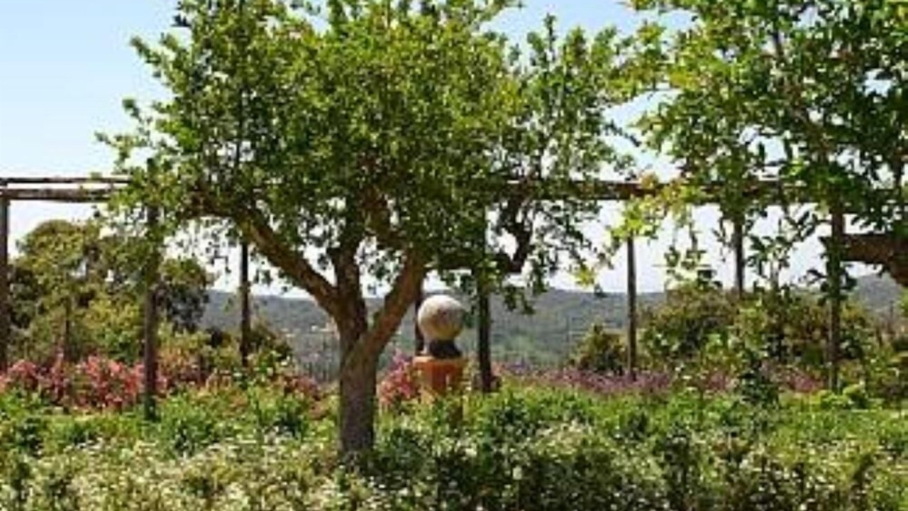 Photo of Outdoor in Itri