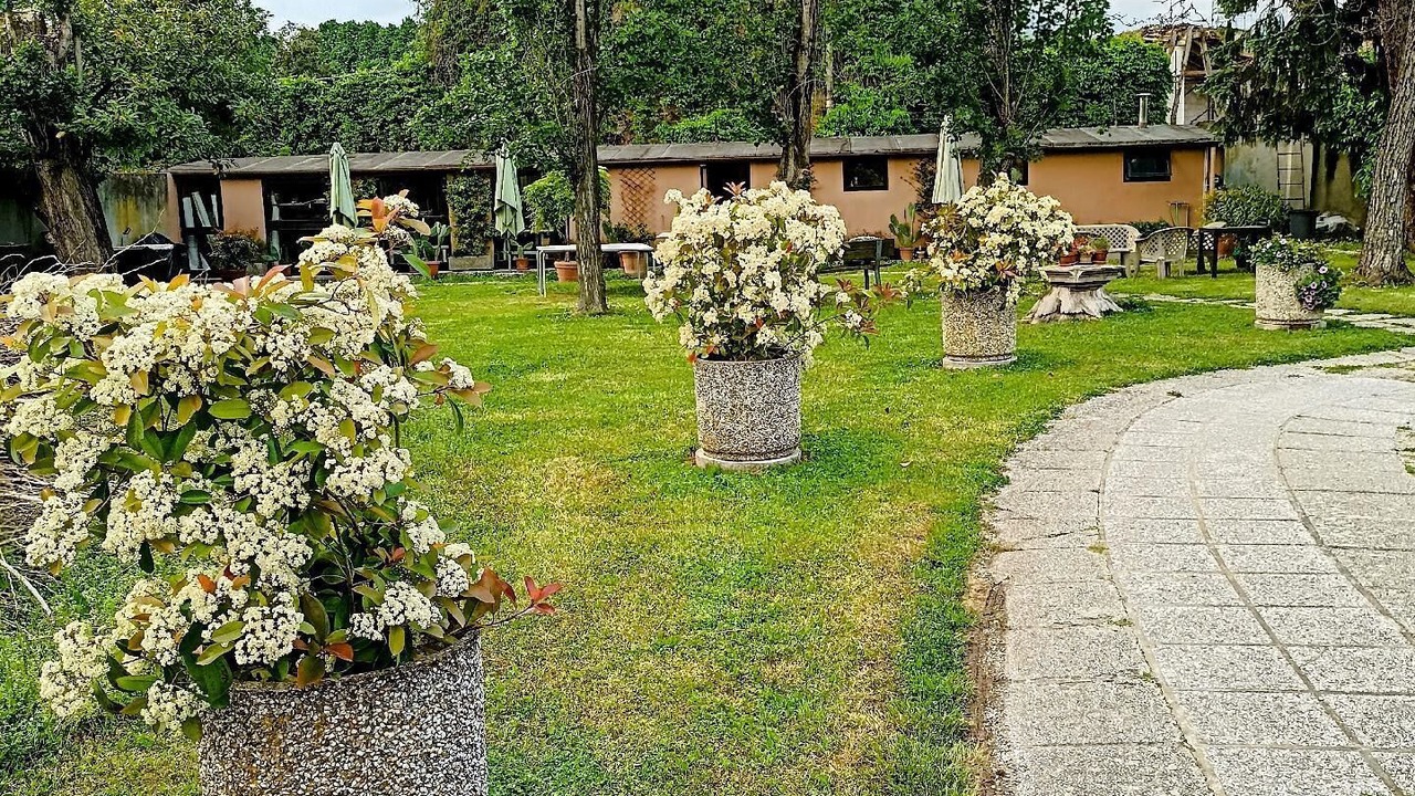Photo of Outdoor in Mira