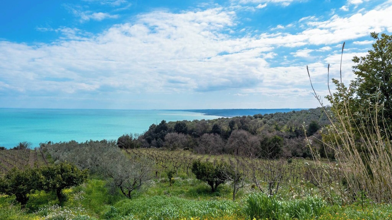 Photo of Outdoor in Rocca San Giovanni