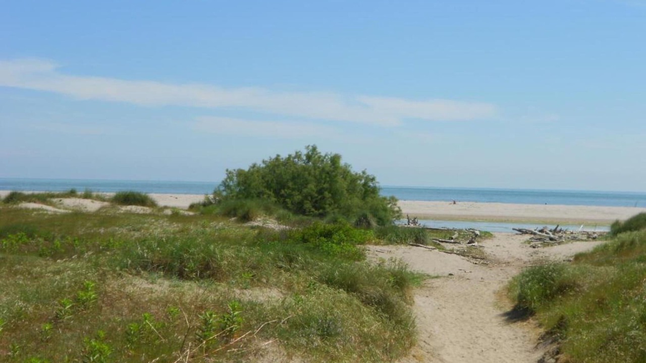 Photo of Others in Rosolina Mare