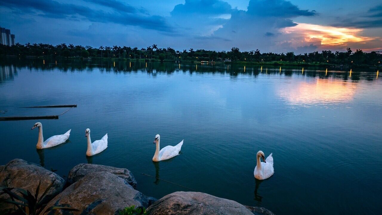 Photo of Outdoor in Van Giang