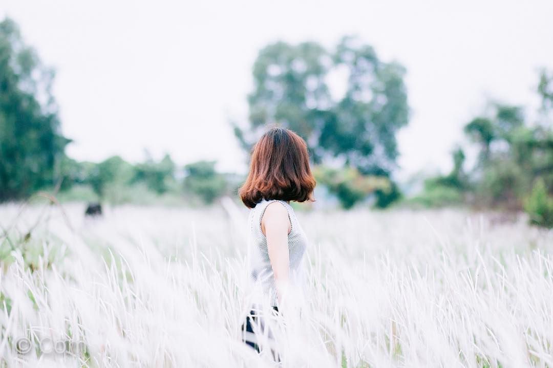 Photo of Others in Van Giang