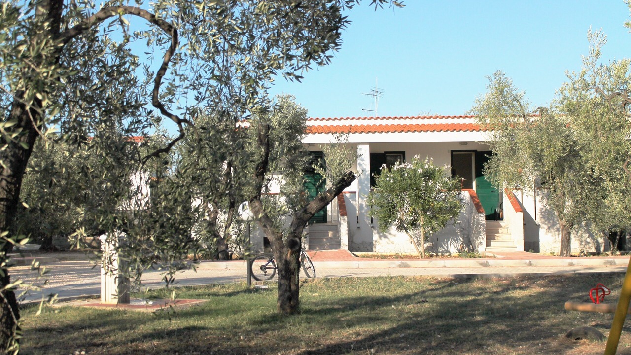 Photo of Outdoor in Montincello